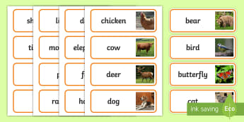 Animals Photo Word Cards - animals, word cards, independent writing, writing activities, spelling aids