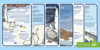 Animale polare - Planșe informative - regiuni polare, animale polare, polar, poli, viața la poli, polul sud, polul nord, planșe, materia