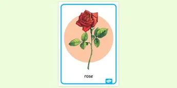 Tips For Roses Poster Flowers Posters | twinkl.co.uk