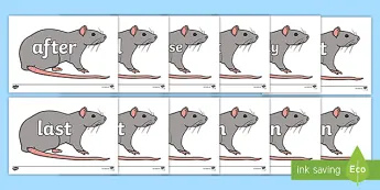 Rats Images | twinkl.co.uk