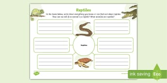 Reptiles Mind Map