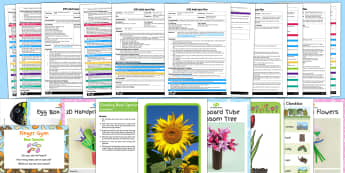 EYFS Plants and Growth Themed Adult Input Planning Pack - planning, plan