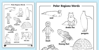 Polar - Activities | Parents - Twinkl