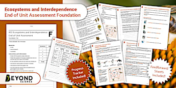 KS3 Ecosystems and Interdependence Unit of Work | Beyond
