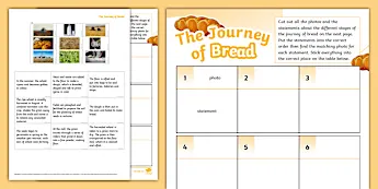Food Activity Sheets | twinkl.co.uk