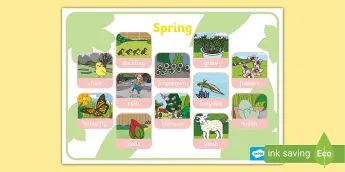 Spring Word Mats | twinkl.com.au