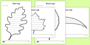 Leaf Template to Print (teacher made) - Twinkl