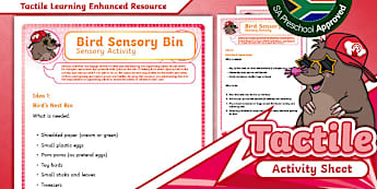 Bird Sensory Bin - Twinkl South Africa