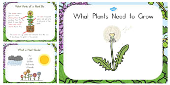 What Plants Need to Grow PowerPoint - australia, plant, grow, need