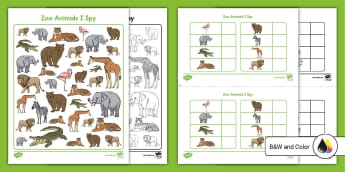 kindergarten science worksheets and activities twinkl