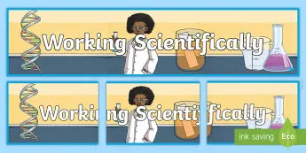 Working Scientifically Skills | twinkl.co.uk