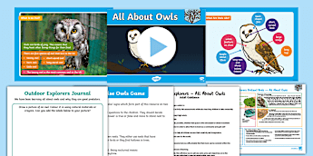 Winter Lesson Plans | twinkl.co.uk