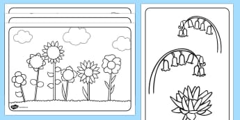 Free Flowers Colouring Pages