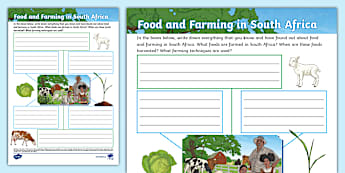 Food And Farming In South Africa | Grade 4 | Geography