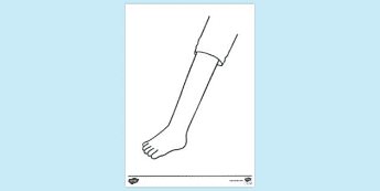 Leg For Colouring Colouring Anatomies | twinkl.ca