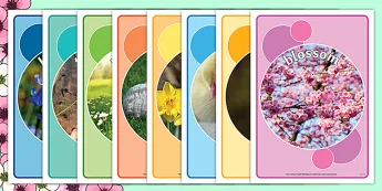 Spring Classroom Displays | twinkl.com.au