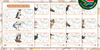Preschool: Birds - Birds of South Africa Puzzle Game