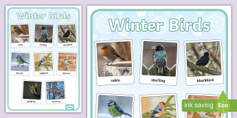 Color By Number Adult Coloring Book of Winter Birds: Winter Bird