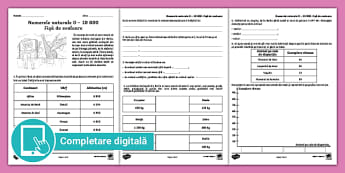 Evaluări Clasa a III-a | Colecție de resurse - Twinkl