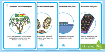Where Does Chocolate Come From? Display Posters - Where Chocolate Comes From, chocolate, come from, display, banner, poster, sign, cacao trees, cacao, South America, cocoa, cocoa pods, cocoa beans