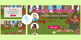 Five Special Senses - What Are The Five Senses - Twinkl