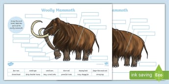 Woolly Mammoth Labelling Activity - KS2 - Prehistoric Beasts