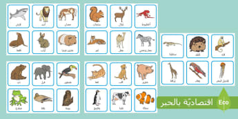 بطاقات الحيوانات - أسماء الحيوانات - حيوانات أليفة ومفترسة