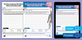 Nervous System Worksheets | twinkl.com
