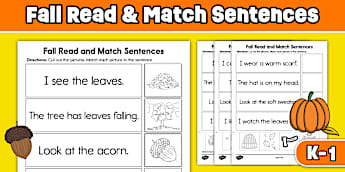 Sentences Worksheets & Printables | Grade 1 | Twinkl