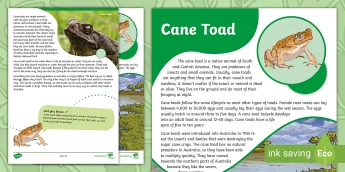 Toad Fact File Biology Fact File • Twinkl.com.au