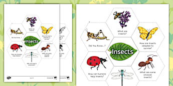 Writing Template Insects 保育園・幼稚園児向けの昆虫のぬりえ/ Insect resources for Kindergarten 幼児プリント
