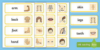 Body Parts Word Cards | twinkl.ca