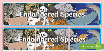 Endangered Species Display Banner - endangered species, display banner, display, banner