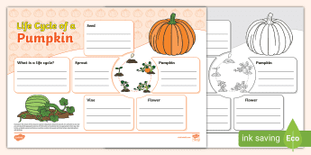 Science Fact File Template • Twinkl.com.au