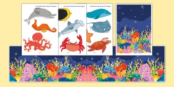 Sea Creatures Activities | twinkl.co.uk