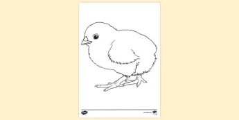 Easter Chick Crafts | twinkl.co.uk