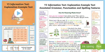 Language Example Text • Twinkl.com.au