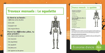 LE SQUELETTE HUMAIN (HUMAN SKELETON- Esqueleto humano) – MEDIFUTUR