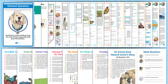Year 4 Reading Comprehension PDF Pack | Comprehension Year 4