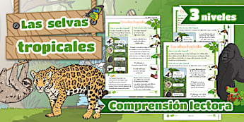Comprensión lectora por niveles: Las selvas tropicales