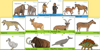 Evolution and Inheritance - Year 6 Science Resources