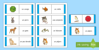 KS2 Spanish Pets and Animals | Twinkl Languages - Twinkl