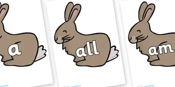 Rabbit Resources | twinkl.co.uk