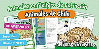 Cuadernillo | Animal Nativo | Peligro de Extinción | Chile