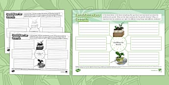 Conditions For Growth Mind Map - Twinkl