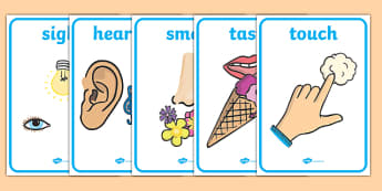 5 Senses Display Posters For Kids