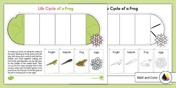 frog-life-cycle-worksheets-twinkl