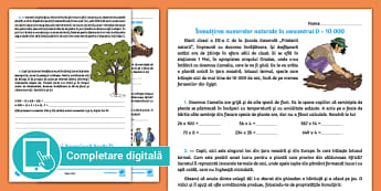 Evaluări Clasa a III-a | Colecție de resurse - Twinkl
