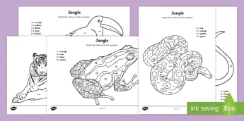 Jungle and Rainforest Activities KS1 | Primary Resources