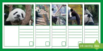 Panda Hand Out Pandas Resources | twinkl.co.uk